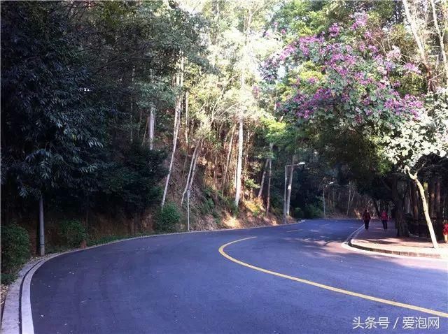 江门市这几条最美乡村公路，到江门自驾旅游必去