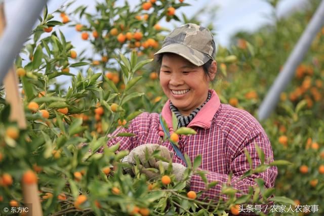 一生产队长说；农村女人回家才能振兴乡村，这5个理由很实在！