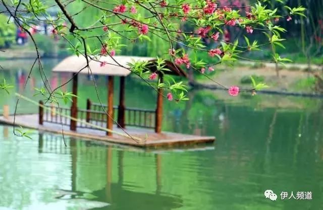 部编八年级下册语文拼音生字词汇总