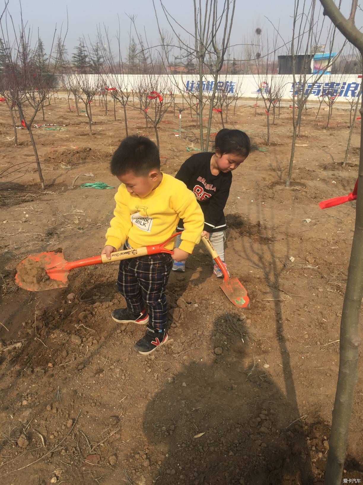 【宝骏730激情夏日】之植树节活动
