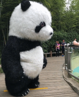 确认过眼神,打不过的人!