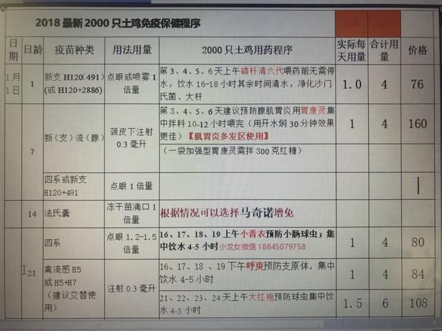 养鸡秘诀：巧用大棚养鸡的优势和秘诀