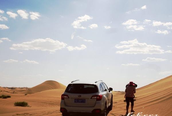 荒漠也不是荒漠了