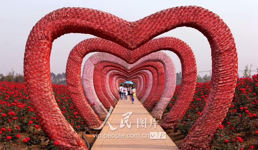 在四川省仁寿县清水镇的花卉产业园里,游客们正在园区的创意区域享受图片