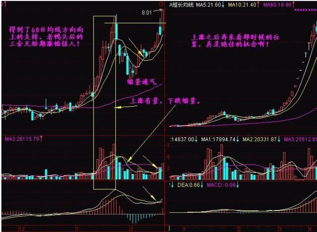 中国下一个“暴利时代”已到来：选股坚持只看两条线，赚翻天