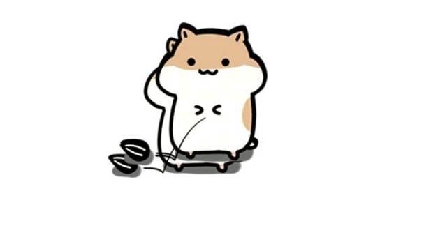 毕业生实习经历很少,简历应该怎么写?