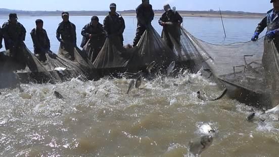 开江鱼，大煎饼，山野菜……松花湖畔美味多