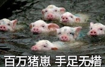 9分美女范冰冰空气刘海像女工!杨幂辛芷蕾为啥