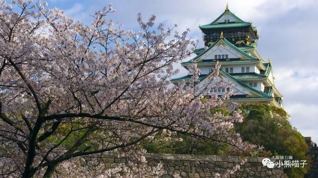 还在烦恼去哪看樱花?你绝对不可错过的9大赏樱圣地!