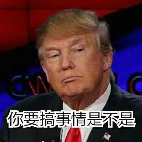 川普总统就职一周年,看看熊孩子是怎么看他们的总统的?