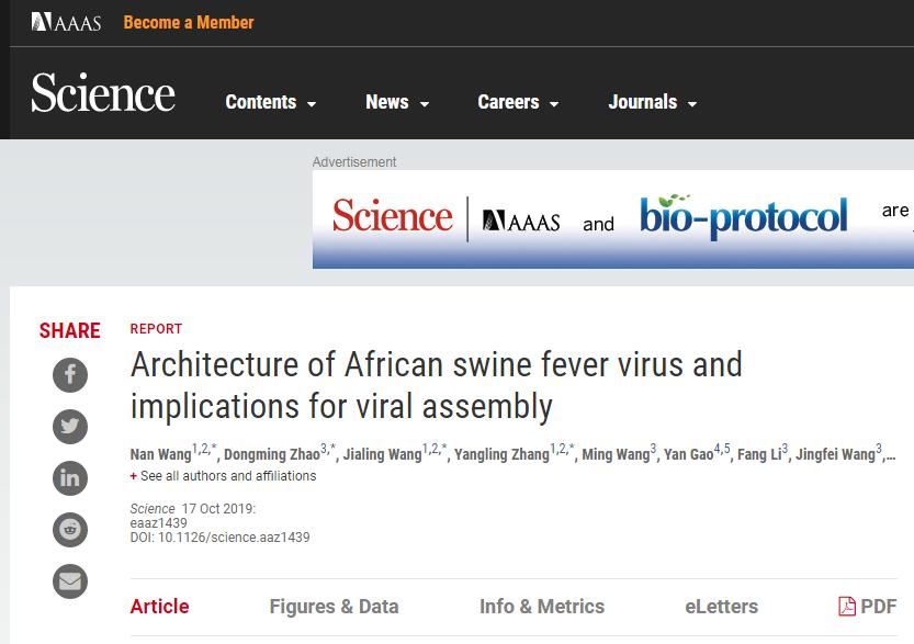 非洲猪瘟病毒的基因