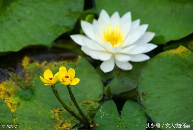 (正能量)人在做，天在看，好人一生平安！