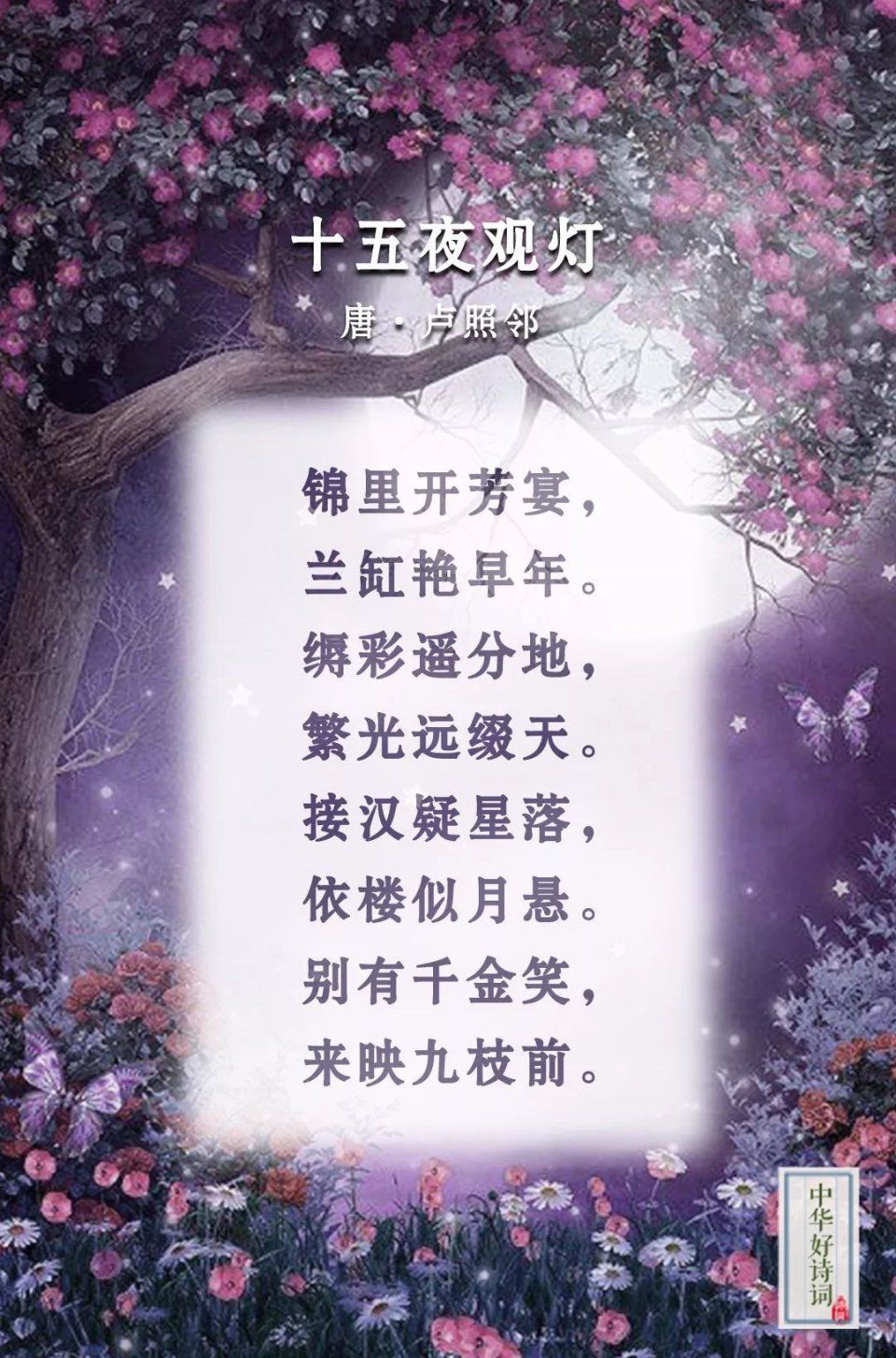t01780ef310b60ed369.jpg