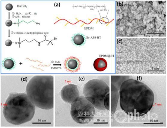 科研成果在国际顶级期刊发表,西科大教授最近