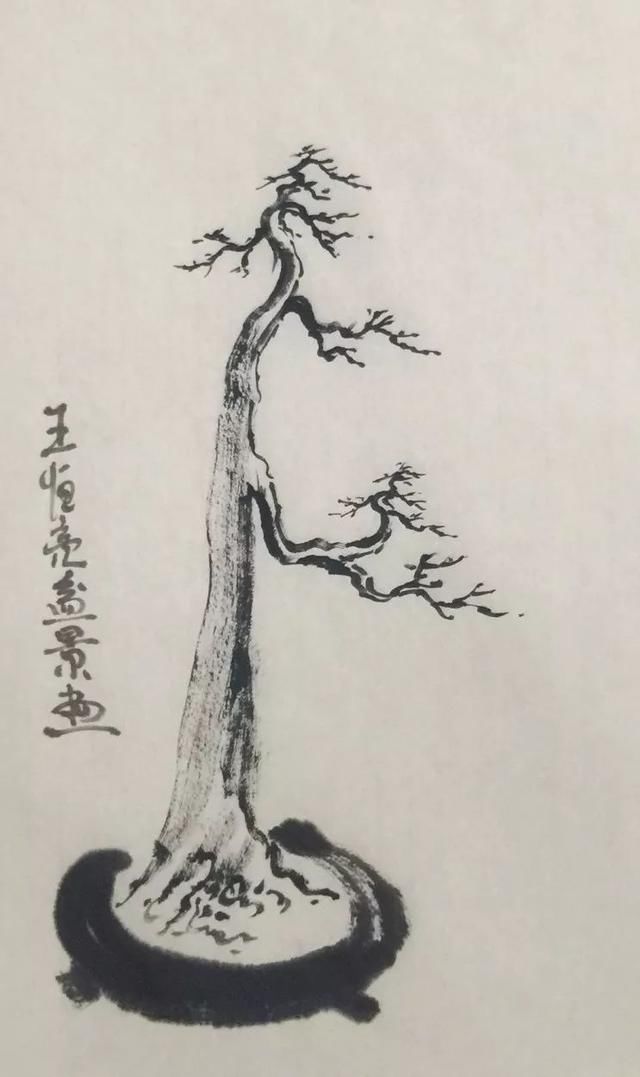 图解王恒亮老师的“单枝封顶，单枝成景”盆景造型艺术