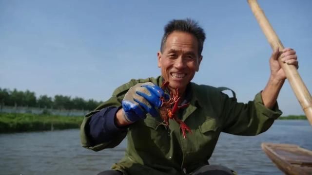 洪湖小龙虾 纵横四海闯天下