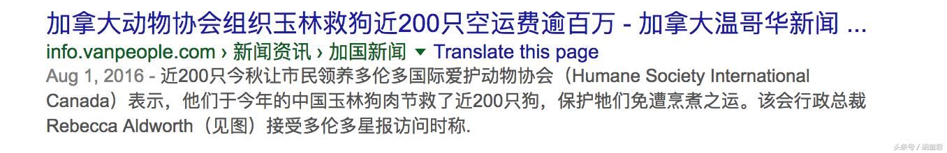 双面加拿大：花上百万到玉林救狗，也是日本最大的活马刺身出口商