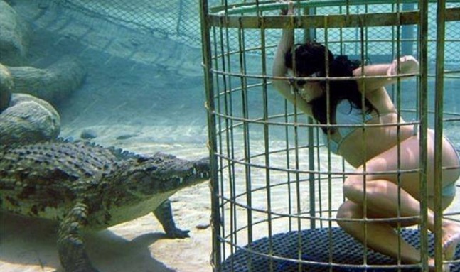 这是世界最惊险的潜水项目,与食人鳄共处一池