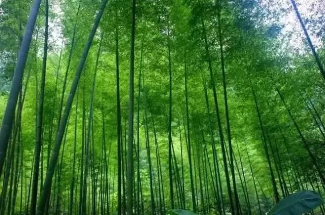 看瀑布不必去看黄果树，还有这些性价比超高的景点不被人知道