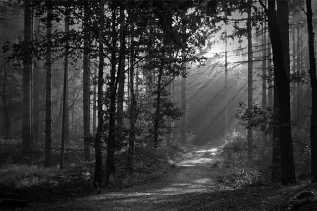 如何用“明暗”打造出独一无二的摄影作品?