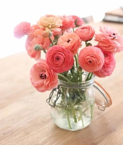 朋友圈早安经典语录 早安唯美心语配图片_【今日爆点】