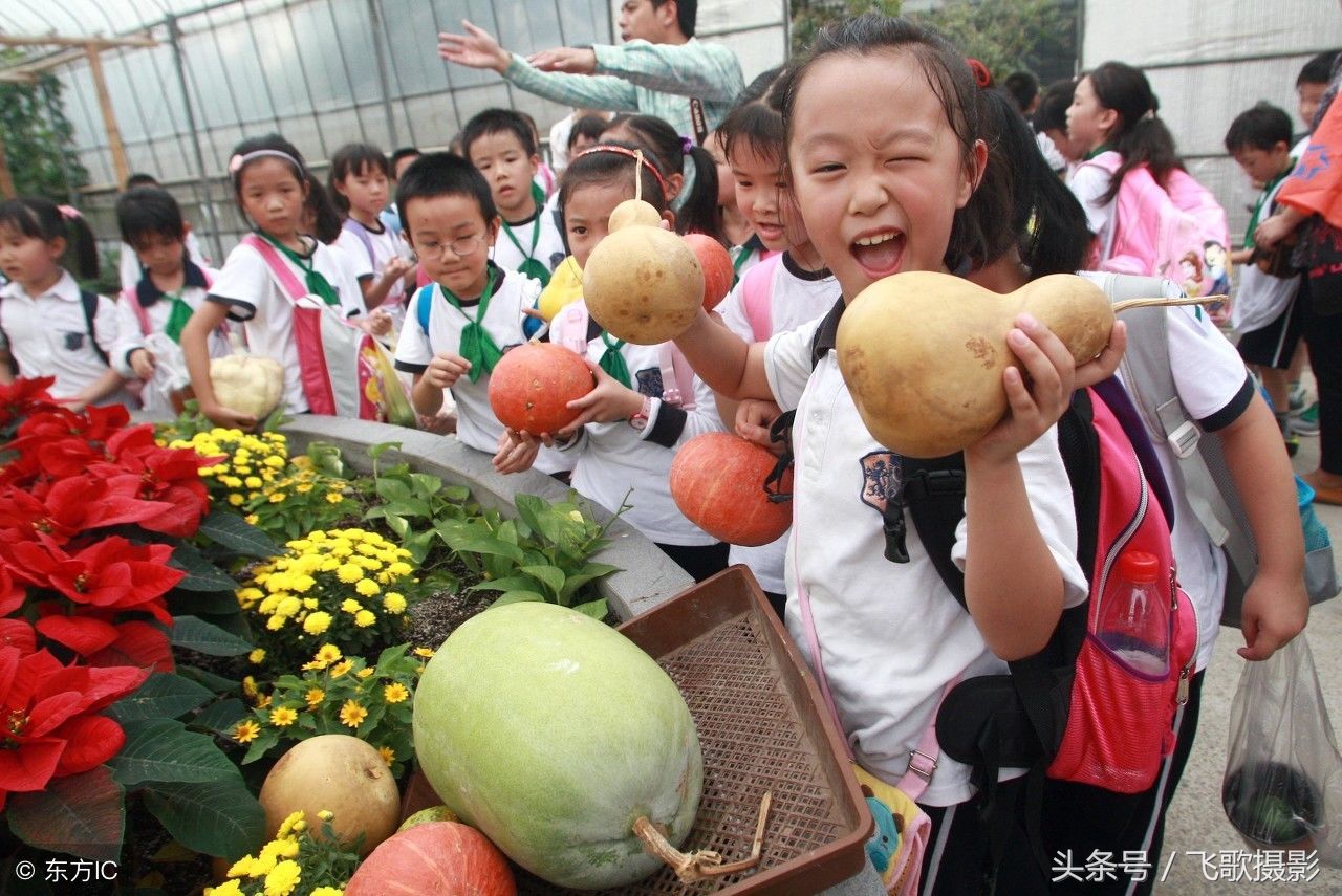中国农民的福音,国家设立农民丰收节!农民说:有