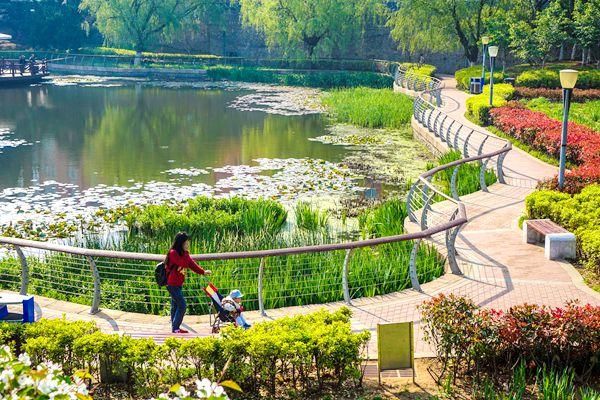 青岛这个公园颜值高：柳湖绿如蓝 碧水秀春色