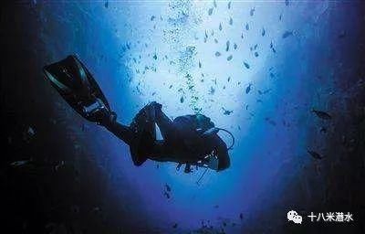 走肾系:潜水员对潜水的感悟,一本正经到吓人