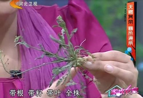 滚蛋吧 婴儿积食 ,KO一岁以内婴儿积食这里有