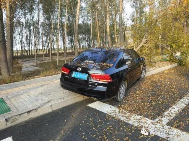 狂轿车:逆行、撞树、见警察就跑,无证还酒驾!