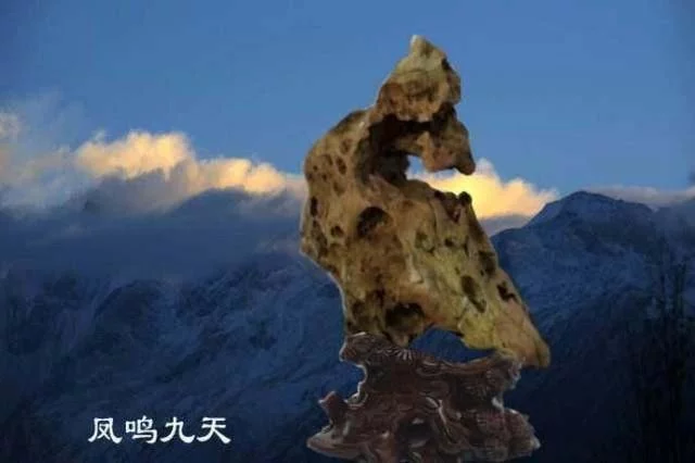 \