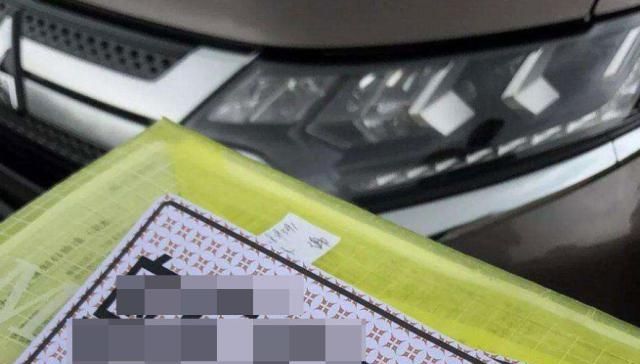 打临牌需要什么资料