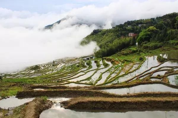 除了厦门，福建还有这10个地方值得一去