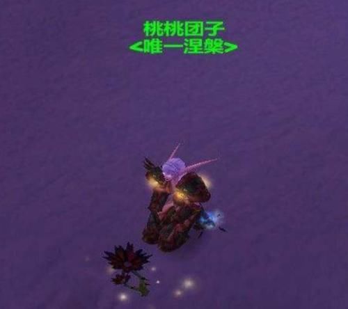 魔兽世界怀旧服DZ好玩吗