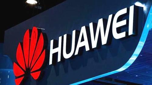 4s店将车主分4种 你是属于哪一种?