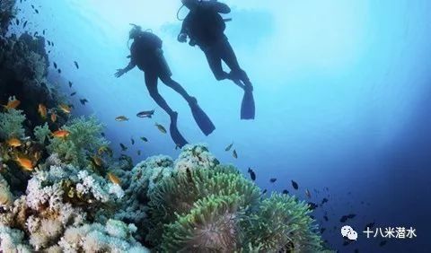 走肾系:潜水员对潜水的感悟,一本正经到吓人