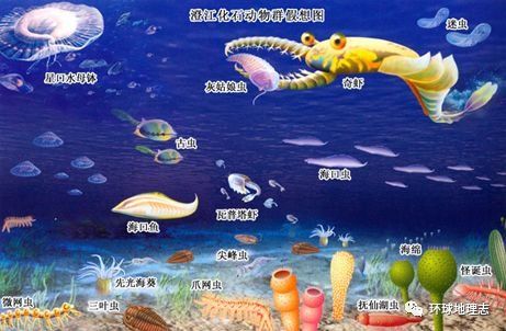中国38亿年来的数次海陆变迁!