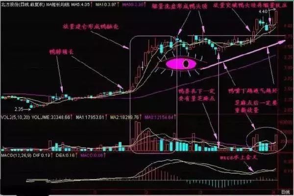 一旦中国股市出现老鸭头，永远不用想太多，只需要买买买!