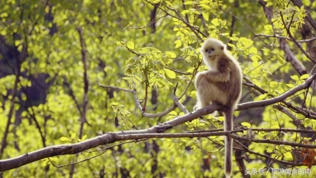 旅游推荐丨云南最美的地方，不是丽江，不是大理，而是这里……