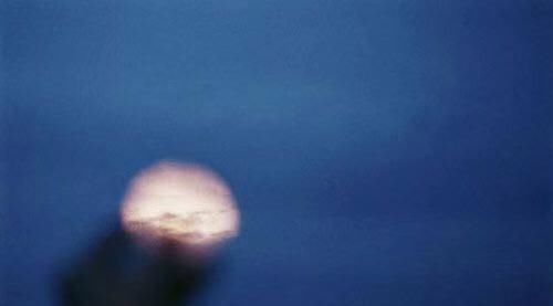 写在2019年的最后一天