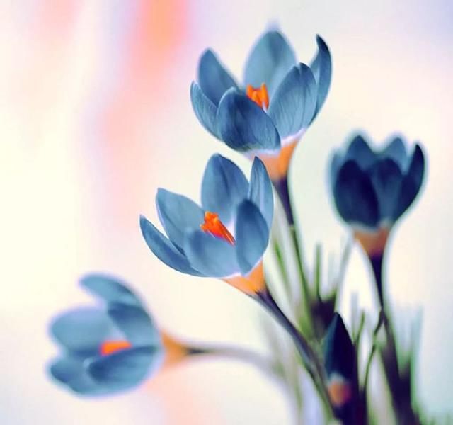 好句子优美句子