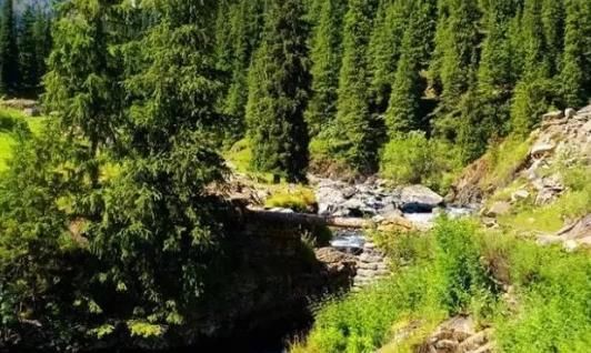 一步一天堂，新疆这条深藏天山的千年古道，没有走过此生都是遗憾