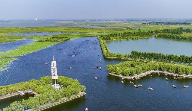 农民变股东!放活宅基地使用权!书记、村主任一人兼任!来看,咱河