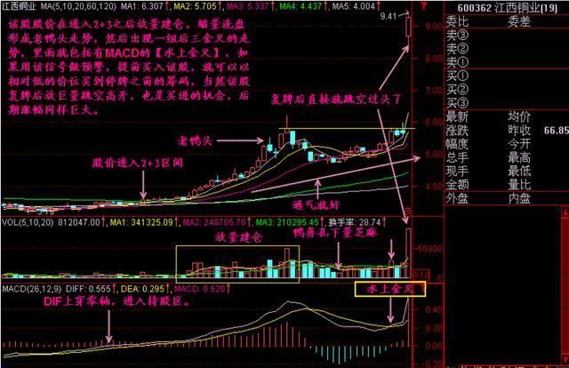 神秘操盘手选牛股的铁律，学会这招，利润就在手中