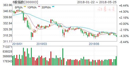 沪市B股指数报收316.69点 跌幅0.4%