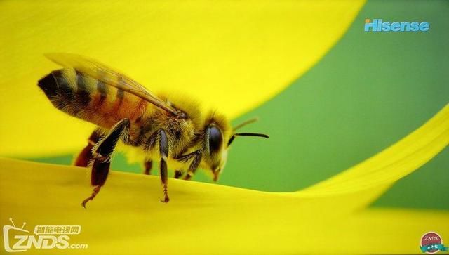 酷开5S 55寸4K智能电视体验评测 低价高配客