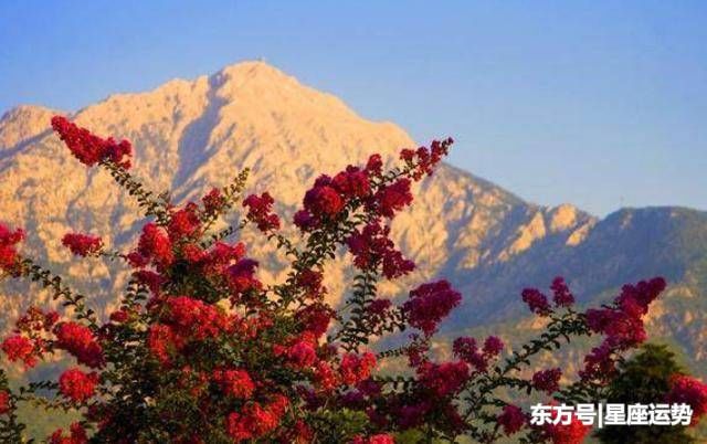 恭喜这三大生肖,正月初五,接财接福接平安,红火一整年