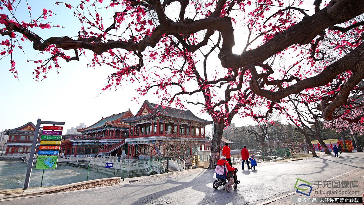 京城年景|10条街道的过年新衣，哪条味儿足？