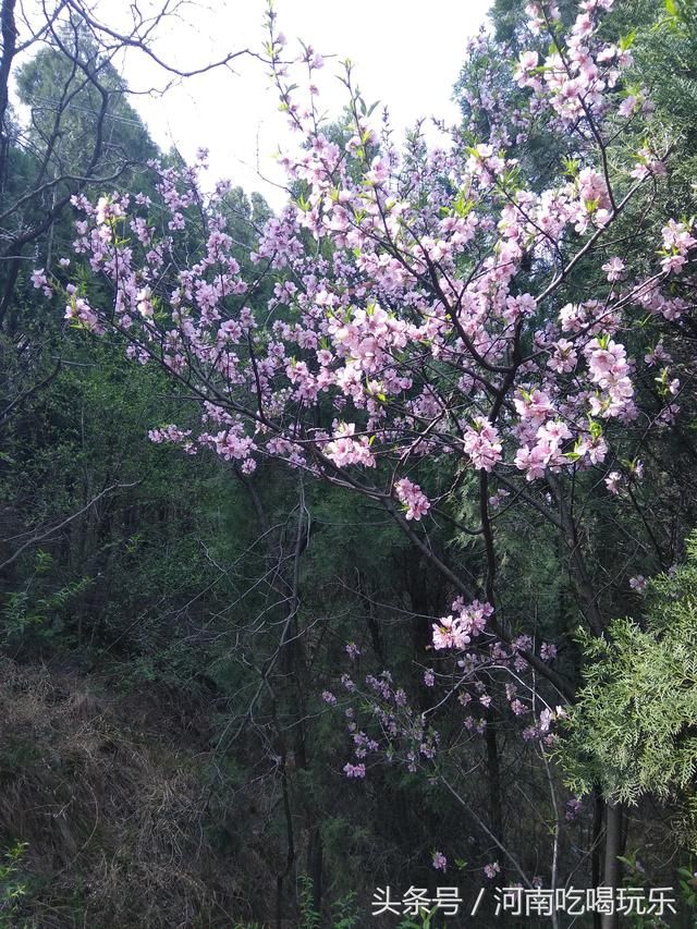 春暖花开之时，登临始祖山，感受轩辕黄帝文化!
