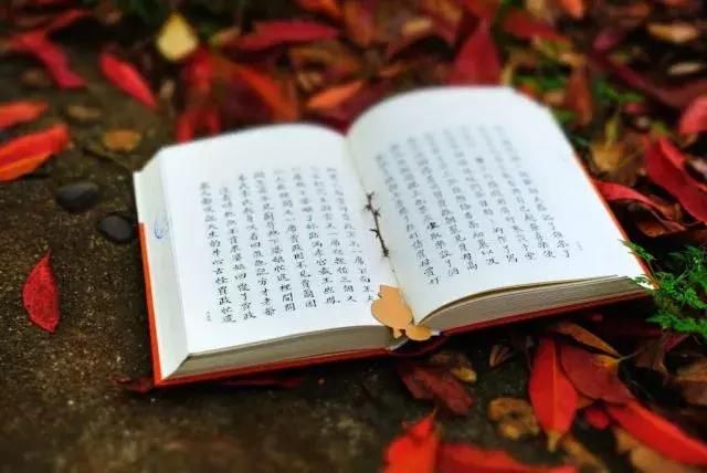 湘潭大学图书馆2017年度阅读报告,最爱阅读的